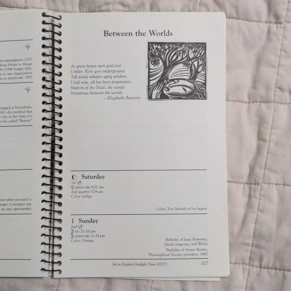 Llywelyn's Witches Date Book 2006